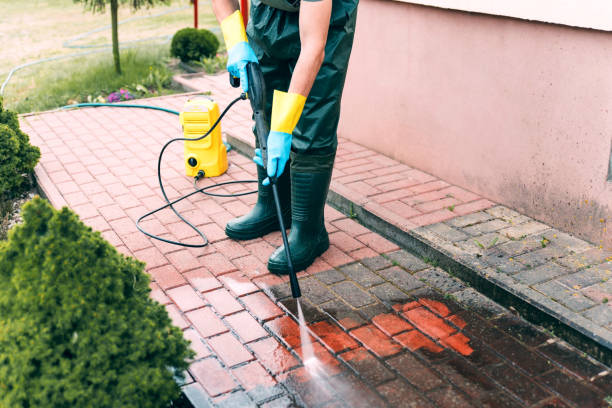 Best Residential Pressure Washing Services  in Roman Forest, TX
