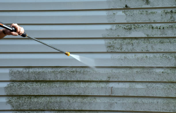 Best Exterior Home Cleaning  in Roman Forest, TX