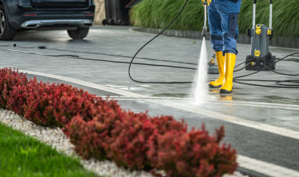 Best Pressure Washing Near Me  in Roman Forest, TX