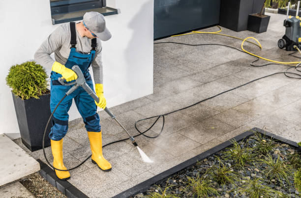 Best Deck Cleaning Services  in Roman Forest, TX