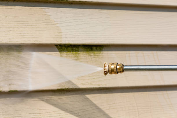 Best House Pressure Washing  in Roman Forest, TX