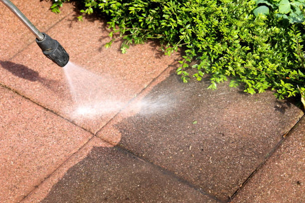 Best Commercial Pressure Washing  in Roman Forest, TX