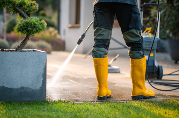 Best Power Washing Near Me  in Roman Forest, TX